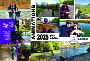 Adultes_2025